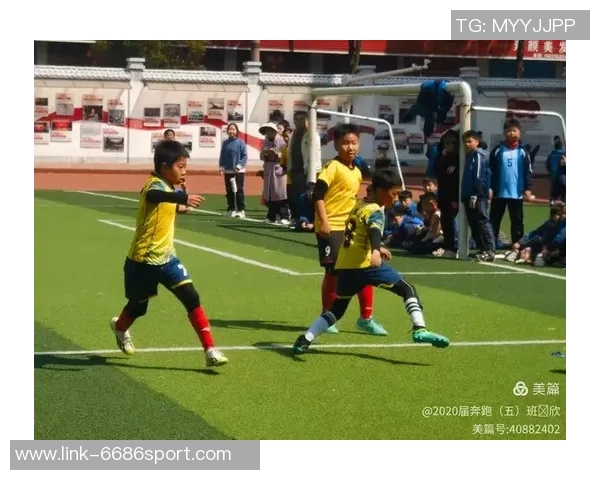 青春挥洒在绿茵场上毕业足球杯点燃梦想与激情的盛宴